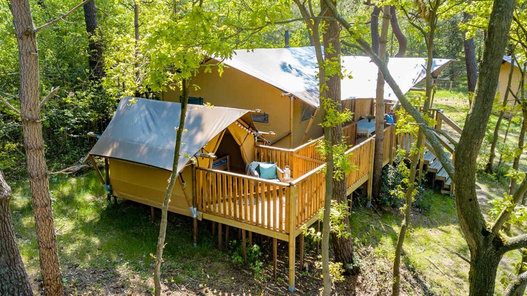 YALA_Sparkle_next_Stardust_landscape